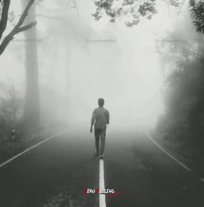 13K views · 442 reactions | Humein pucho | Zero Feeling | Facebook