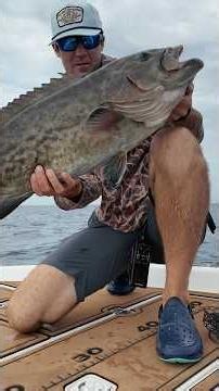Don’t forget your sardines when you head offshore #fishing #offshore #florida #adventures