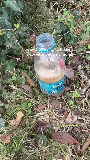 Creating a New Virus with Radnor Fizz Experiment