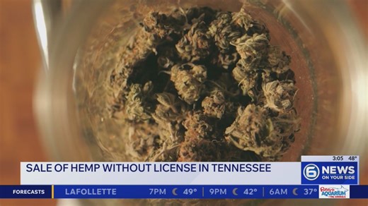 Tennessee officials find 650 retailers selling hemp without license