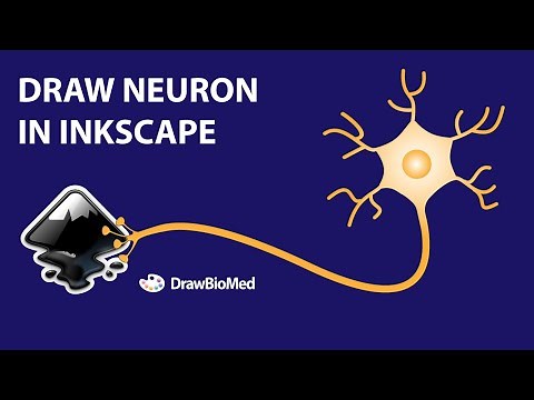 Draw Neuron in Inkscape | Scientific figures | Graphical abstract | Scientific Illustration