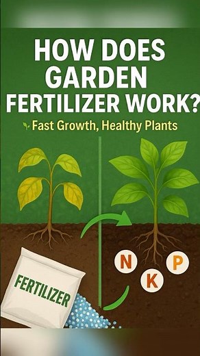How Does Garden Fertilizer Work?