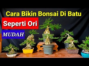 EASY WAY TO MAKE A BONSAI ON STONE LIKE THE ORIGINAL