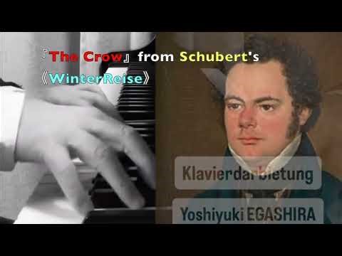 Schubert // "Crow" from "WinterReise"（シューベルト・冬の旅より「からす」）