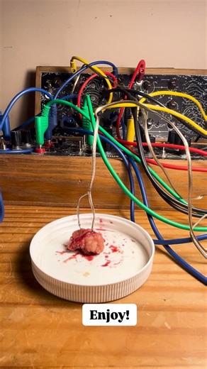 𝕸𝖔𝖑𝖆𝖘𝖘𝖊𝖘 𝕴𝖓𝖉𝖚𝖘𝖙𝖗𝖎𝖊𝖘 on Instagram: "Benign tumor generative modular synth. Enjoy these soothing sounds I was able to coax out of the benign tumor they removed from my head. #modular #modularsynth #synth #diysynth #synthfluencer #ambient #generative"
