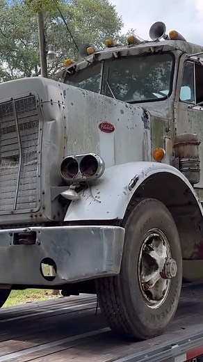Will This Ancient Peterbilt Semi Truck Start? #truck #trucklife #truckdriver #tractor #tractors #tractorlife #trucks #trucking #peterbilt | Bruce Wilson