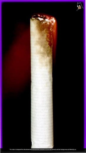 Satisfying ASMR: Burning Cigarette Under High Heat