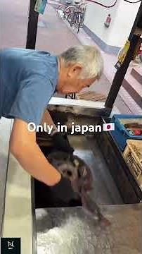 ##hardworking Japanese father and son##japan
