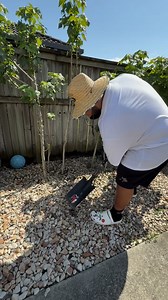 Pov: your team loses and all of sudden youre an expert at analysing the game We’re entitled to our own opinion alright!!!😂😂😂 | Havea676