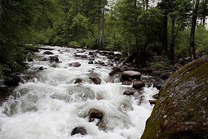 Rapid vs Waterfall-区别和比较 - 博客 2026