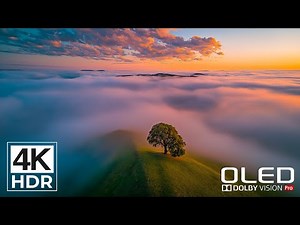 Ultra Clarity 4K HDR 120FPS Dolby Vision | See the World Like Never Before