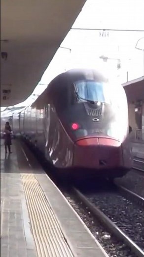 Italo treni Italya fast train #train #railway #europe #italia #italy #trenitalia #trenes #züge #rail
