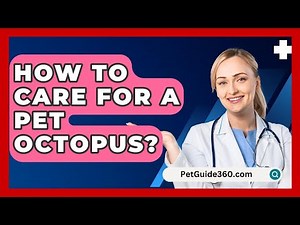 How To Care For A Pet Octopus? - PetGuide360.com