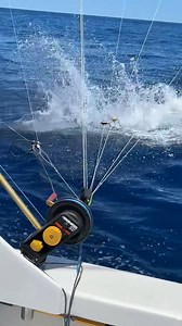 North Carolina is already in summer mode with big fish biting. They hooked this monster using mahi as bait! 🎣 @reeltimecharters_nc #northcarolina #fishing #billfish #marlin #fishingbooker | FishingBooker