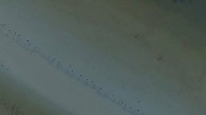 15 reactions | We call the mornings here at Pink Shell “The Golden Hours.” Our beautiful beach, paired with the endless crystal blue ocean and ocean breeze, makes for the perfect vacation morning routine. | Pink Shell Beach Resort & Marina | Facebook