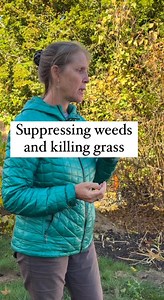 Weeds are inevitable but a healthy layer of mulch or wood chips will suppress a lot of them. You can’t stop seeds from blowing in, landing and germinating but it’s a lot easier for that to happen with bare soil or only a thin layer of mulch. I would apply 2”-3” and re-apply as needed. (Be careful not to put too thick a layer because that can cause other problems.) Ideally you would have areas fully covered with plants because that’s the best way to reduce weeds. But you will always need to weed.