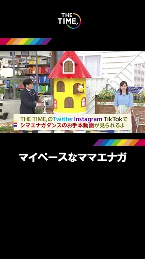 シマエナガの歌で元気になる！