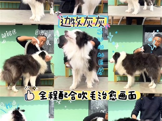 【ppp萍子ooo】最新视频来袭，快来看看吧！