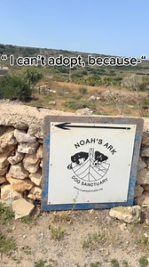 This is your sign to adopt a shelter dog ✨ No matter your lifestyle, there’s a shelter baby perfectly ready to match it—and be your loyal companion. DM to get more info or visit our sanctuary. #adoptashelterdog #maltadogs #adoptdontshop #shelterdogsofinstagram #sheltermalta | Noah's Ark Dog Sanctuary Malta