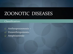 Zoonotic diseases - SlideServe