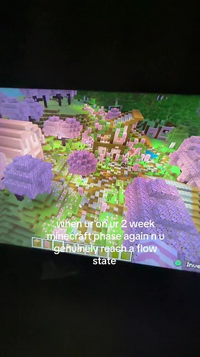 Experiencing Flow State in Minecraft 2v2 Matches