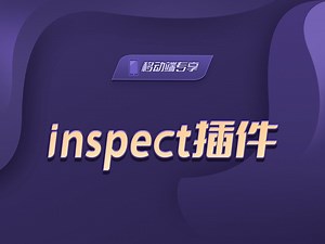 inspect插件【渡一教育】