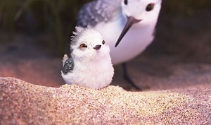 Piper – First Look – Official Disney Pixar