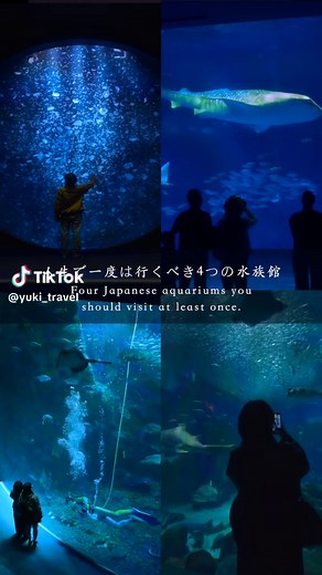 日本の思い出深い水族館を巡る旅