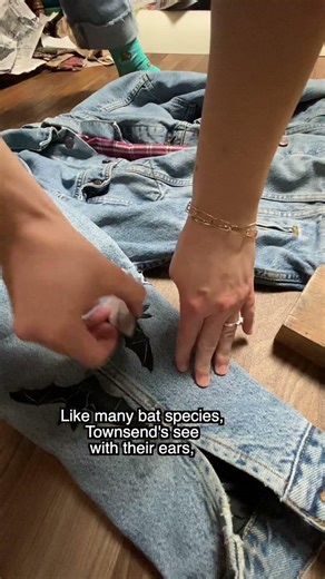 Printing a thrifted denim jacket with all the bats 🦇