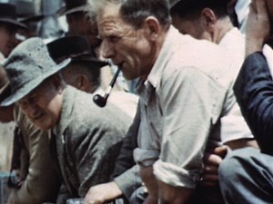 Farming in New Zealand | Short Film | NZ On Screen