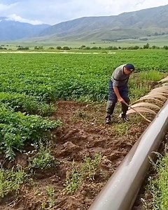 6.1K views · 11 reactions | How to make a homemade watering system for the plants | Lupus | Facebook