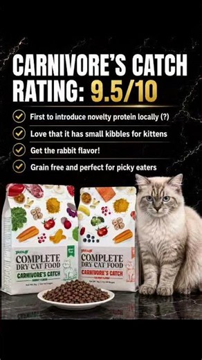 Tested 10 Popular Cat Foods – Here's the BEST One! | Honest Review & Ratings♥️😺 #viral #fyp