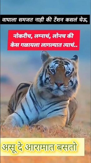 Zop nainachi geli | झोप नयनाची गेली हरपून गेले भान #marathisong