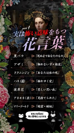 実は怖い意味をもつ花言葉 part.1 日々学んだことをアウトプットしてます。学び/知恵/雑学/心理/名言/哲学/健康/考察/情報/言霊/化学 #雑学 #花