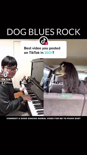 Amosdoll on TikTok