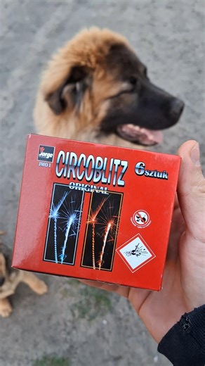 Cyrcoblitz JM01 Jorge 2026 #petardy #fireworks #firecracker #pyro #polenböller #polska #fajerwerki