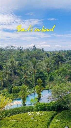 발리 가족 여행정글뷰 온수풀 수영장 파드마 우붓 리조트 #bali #ubud #발리여행 #우붓 #파드마우붓