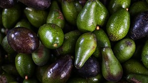 Non-destructive Monitoring of Fruit Ripeness