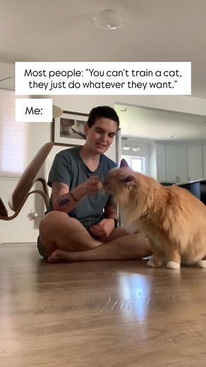 People love to say “you can’t train a cat, they just do whatever they want.” But that’s not true at all. Cats are incredibly smart and can learn so much when you work with their natural instincts instead of against them. My favorite part about training cats is they often surprise you with how quickly they learn! They’re not stubborn, they’re just wonderfully independent thinkers with their own way of doing things ☺️ If you’d like help building that kind of trust and communication with your cat, 