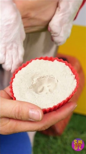 This Lock Works With a Paw?! 😲🐶