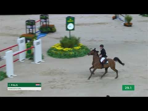 Chacco’s Girl 150 CSI5* S’Hertogenbosch
