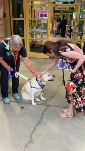 2025 Black Tie & Tails: PAWP Art Wrap Up!