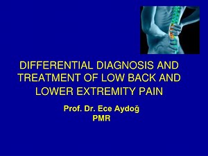 Comprehensive Guide to Low Back & Lower Extremity Pain - SlideServe