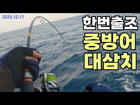 (지깅낚시) 한번 출조 하면, 중방어와 대삼치 손맛 입맛을 같이 ^^!