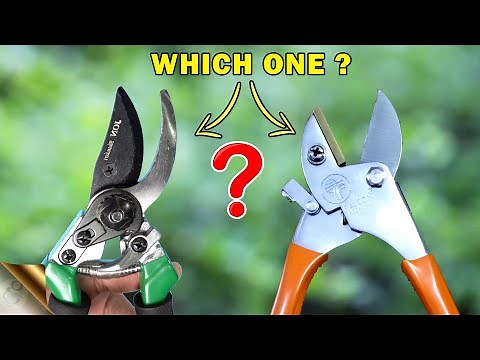 WHICH ONE TO CHOOSE AND FOR WHY? | CHOOSING THE RIGHT PLANT CUTTER!
