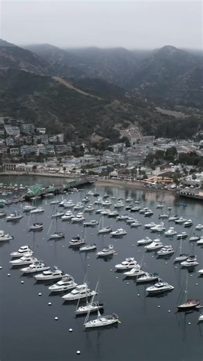 Showing War Heroes a good time meant that we was going Tuna fishing! 🎥: Local Knowledge S9:E6 “War Heroes on Water” is Available on YouTube, Waypoint TV & Streaming apps