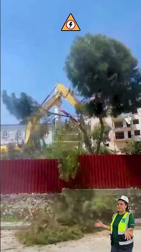 Tree Trimming Near Power Lines? Disaster Loading…