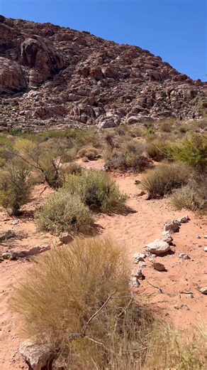 Calico Basin is a popular outdoor recreation area in the Red Rock Canyon National Conservation Area near Las Vegas, Nevada, known for its red sandstone formations. It offers a variety of activities, including hiking, rock climbing, and mountain biking, with trails accessible via Calico Basin Road. The area is managed by the Bureau of Land Management and is a free-to-enter alternative to the main Red Rock Scenic Loop | Historicalindigenoussites