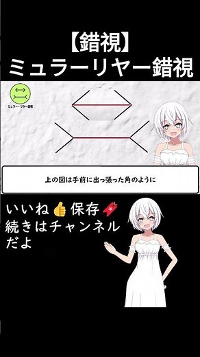 【錯覚】ミュラーリヤー錯視 #shorts #雑学 #ゆっくり解説 #ゆっくり#解説 #全解説 #まとめ#錯覚