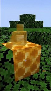 This Makes Minecraft Bees Epic